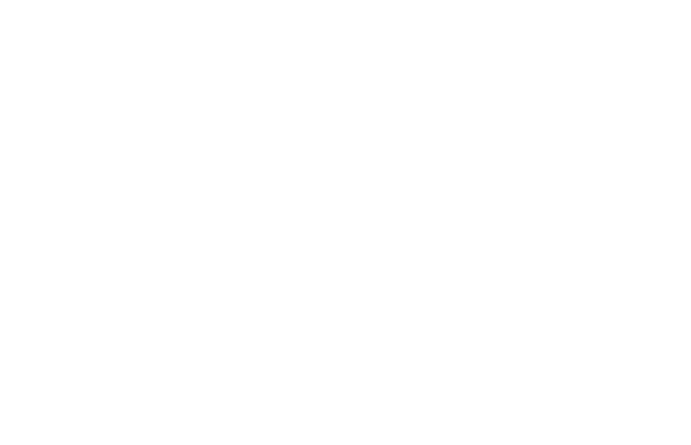 Ensurity Express Logo